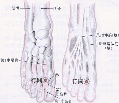 地根穴|醫砭 » 經穴庫 » 地機